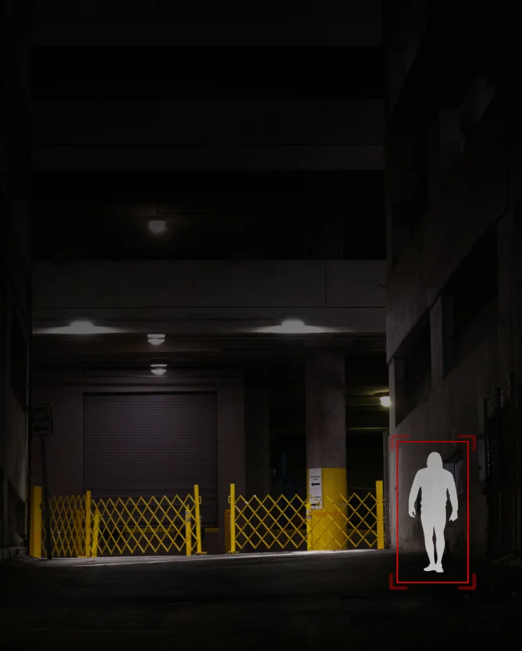 Gate Access Control